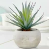 Plantes Artificielles^CASA CEMENT Plante Grasse Artificielle Gris