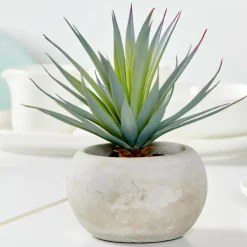 Plantes Artificielles^CASA CEMENT Plante Grasse Artificielle Gris