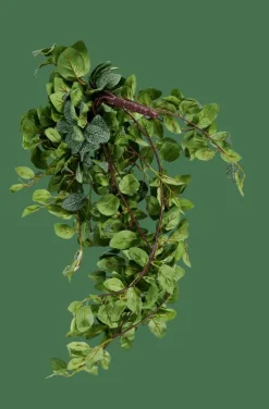 Plantes Artificielles|Branches Artificielles^CASA FITTONIA Guirlande Feuilles Vert