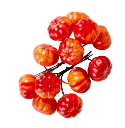 Branches Artificielles^CASA FOAM Branche De Grenadier Rouge
