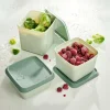 Boîtes De Conservation^CASA FREEZER Boîtes Congélation Set De 10 Menthe, Vert Foncé