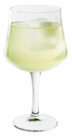 Verres À Cocktail^CASA GIN Verre 65 CL Transparent