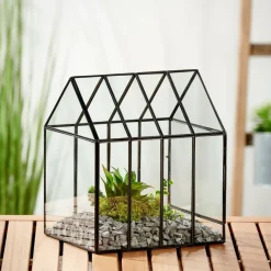 Supports Pour Plantes^CASA GREENHOUSE Terrarium Transparent