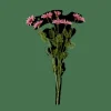 Fleurs Artificielles|Automne^CASA INDI Tige De Fleurs Mauve