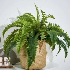 Porte-Plantes À Suspendre|Décoration De Jardin^CASA METAL Échelle Noir