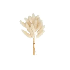 Fleurs Artificielles^CASA MINA Déco Séchée Blanc