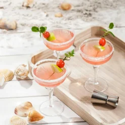 Verres À Cocktail^CASA MIXOLOGY Verre à Cocktail 22,5 CL Transparent
