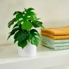 Plantes Artificielles^CASA MONSTERA Plante Diverses Couleurs