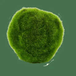 Plantes Artificielles^CASA MOSS Boule De Mousse Vert