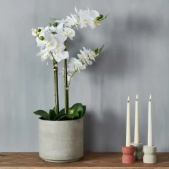 Plantes Artificielles^CASA ORCHID Orchidée En Pot Blanc