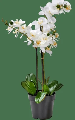Plantes Artificielles^CASA ORCHID Orchidée En Pot Blanc