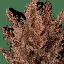 Branches Artificielles^CASA PLUME Tige Panache Brun
