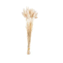 Vases^CASA RONDA Vase Beige