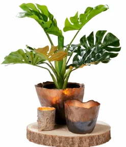 Bougies^CASA RUSTIC Bougie Ivoire