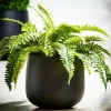 Pots De Fleurs|Pots De Jardin^CASA SENSE Pot De Jardin Noir