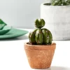 Cache-Pots|Pots De Fleurs^CASA TIERRA Pot De Fleurs Terre Cuite